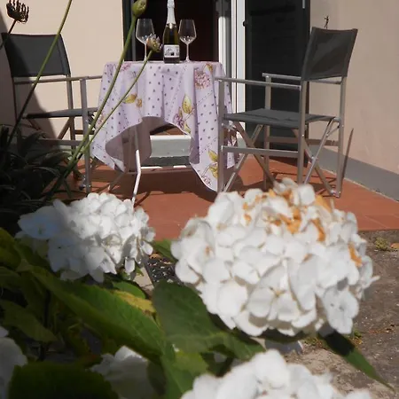 L'orto Di Sant'andrea In Centro A Appartamento
