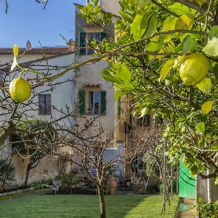 L'orto Di Sant'andrea In Centro A * Pisa