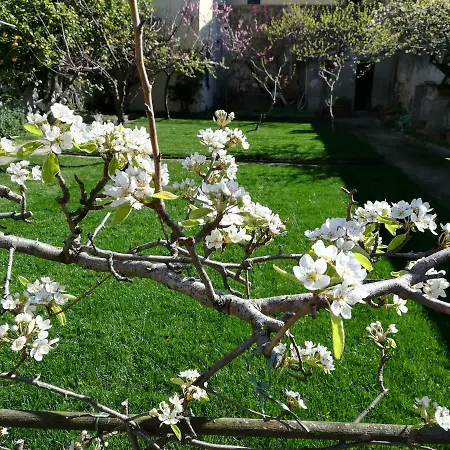 L'orto Di Sant'andrea In Centro A Appartamento Pisa