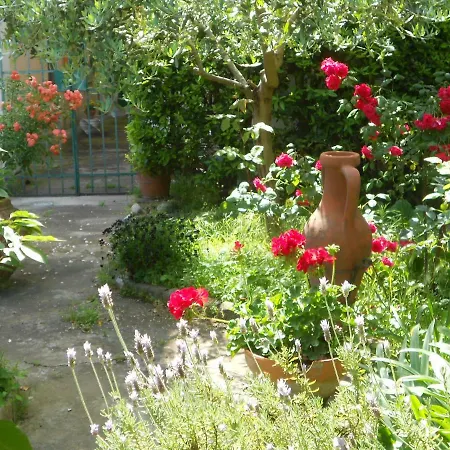 Giardino Antico Pisa